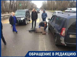 Виновного в смерти папы всячески пытаются оправдать, – жительница Воронежа