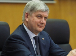 Александр Гусев назвал будущий бренд Воронежской области