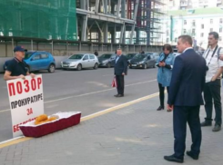 Гроб с игрушечной собакой выставили у дверей прокуратуры в Воронеже