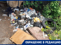 «Соседи превратили дом в зловонную помойку»: жители Воронежа просят спасти их от антисанитарии 