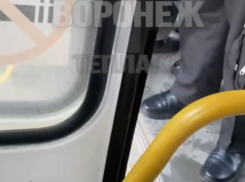 Водитель автобуса в Воронеже набросился на 13-летнего пассажира из-за проезда