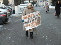 В Воронеже антиникелевые активисты отнесли подписи в правительство области (ФОТО)