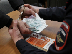 В Воронежской области средний размер взятки за год вырос на 75%