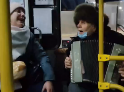 За несколько часов до Нового года воронежцы запели в маршрутке под баян 