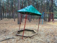 Как сейчас выглядит парк, где рос сын мэра Воронежа