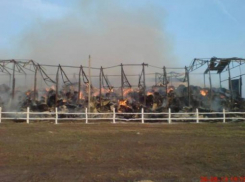В Калачеевком районе на сенохранилище сгорело 300 тонн сена