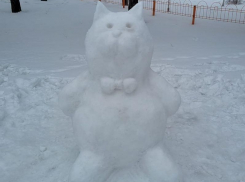 Ещё один Котёнок с улицы Лизюкова внезапно появился в Воронеже