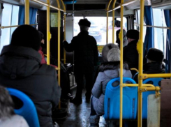 Когда в Воронеже подорожает проезд в общественном транспорте