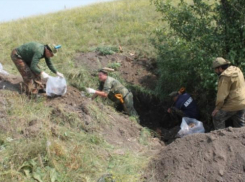 Останки 17 человек эксгумировали в воронежском «Дивногорье»