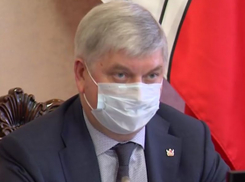 Губернатор Гусев заявил о росте зарплат воронежцев в пандемию Covid-19