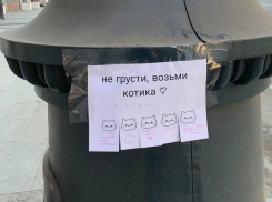 Необычное объявление в центре города удивило воронежцев