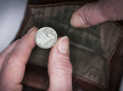 Реальные доходы воронежцев упали на 5% с начала года