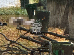 Тело девушки обнаружили возле Воронежского ГАУ