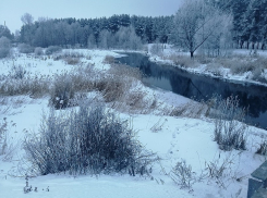 Проект расчистки маленькой речки в Воронеже обойдется в 3 млн рублей