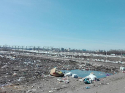 Царство мусора у взлетной полосы нашли в Воронеже