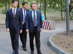 В воронежском парке «Дельфин» появится колесо обозрение и пристань 