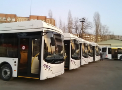 Новые автобусы с пневмоподвеской и пятью камерами показала мэрия Воронежа