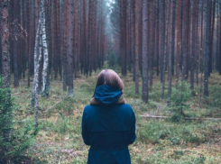 В лесу под Воронежем нашли потерявшихся девушек-грибников