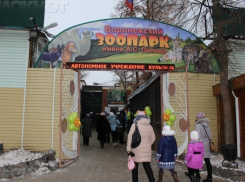 В Воронежском зоопарке пройдет «День открытых дверей»
