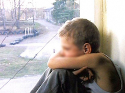 Пропавший в Аннинском районе мальчик нашелся сам