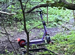 Следы загадочной поездки заметили в воронежском лесу