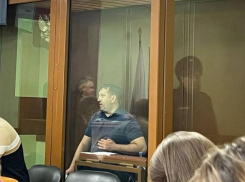 Воронежский «единоросс» Роман Жогов лишился членства в партии после возбуждения уголовного дела