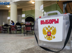 Единороссы массово выдвигаются на выборы в Воронежской области 