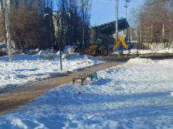 Город-каток: странную полировку льда заметили в Воронеже 