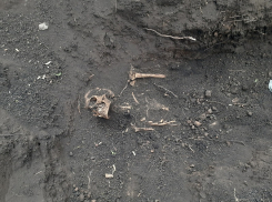Останки 34 солдат РККА обнаружили в Воронежской области