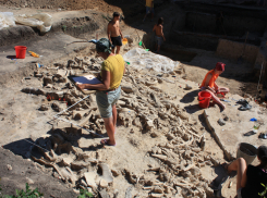 Под Воронежем археологи нашли древнейшее захоронение мамонтов (ФОТО)