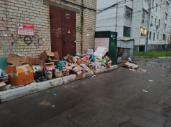  Лень дойти до мусорки – воронежцы закидали отходами электроподстанцию