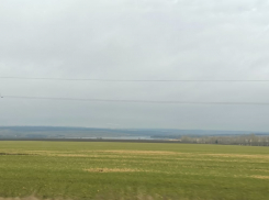 Весенние полевые работы стартуют в Воронежской области сразу после таяния снега