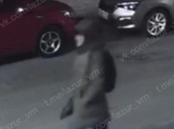 Ночной вскрыватель авто попал на видео в Воронеже