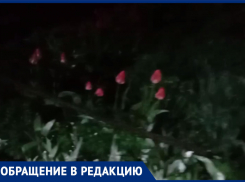 Погибли растения и размыло дорогу: улицу в Воронеже затопило кипятком