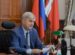 Александр Гусев пропустил очередное заседание правительства Воронежской области