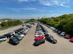 В компании Fresh Auto подвели итоги распродажи