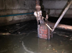 В подвале говно, а в подъезде темно