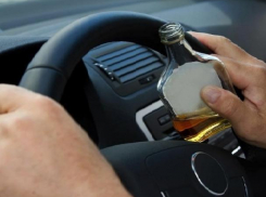 Полицейские рассказали, сколько воронежцев поймали пьяными за рулем 23 февраля