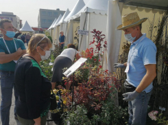 В цветах, но в масках: под Воронежем открыли выставку-ярмарку фестиваля «Город-сад»