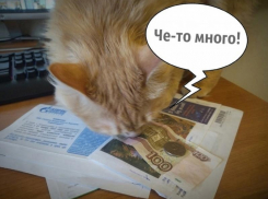 Откуда могут браться большие платёжки за горячую воду, объяснила воронежцам «Квадра»