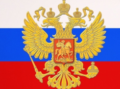 В Воронеже не все горожане знают российский флаг, герб и гимн