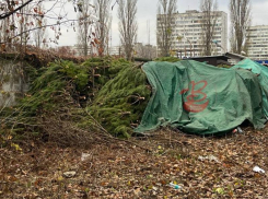Первые признаки приближающегося Нового года заметили в Воронеже