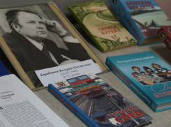 Юбилеи известных воронежцев в 2017 году горожане увидят на выставке в Никитинке