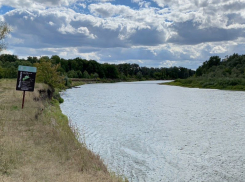 Заповедник с выхухолью официально стал больше в Воронежской области