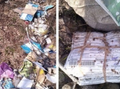 Воронежские чиновники заметили, что Почта России работает медленно