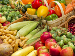 В Воронеже вновь пройдут сельскохозяйственные ярмарки 