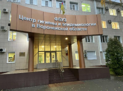 20 сотрудников госучреждения хитрили с декларациями в Воронеже 
