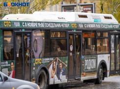 Стало известно, какие автобусы будут работать в новогоднюю ночь в Воронеже