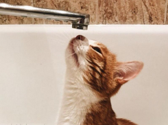 Электрический столб затормозил работы над устранением утечки в Воронеже 