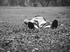 В 90-е годы из-за пьяного пастуха целый колхоз терял поголовье коров